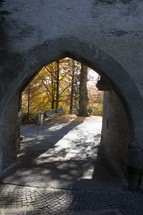 tunnel in a park 