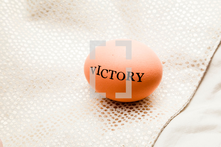word victory on a brown chicken egg 