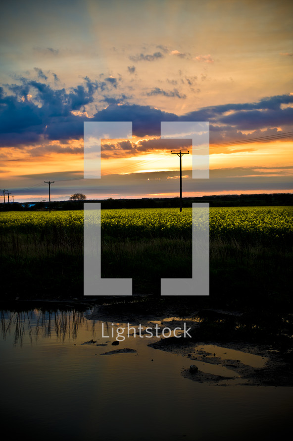 pond and power lines under a sunset