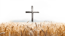 Wooden cross with wheat in the forefront. 