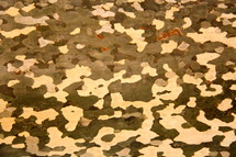 Bark of a tree looking like camouflage background or peeling paint