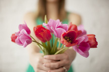 woman holding red and pink tulips 