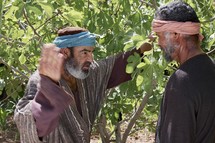 Parable of the budding fig tree