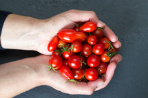 cupped hands holding cherry tomatoes 