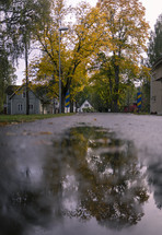 A pool of water on a street with reflection of beautiful trees and rustic buildings