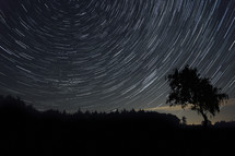star trails in the night sky 