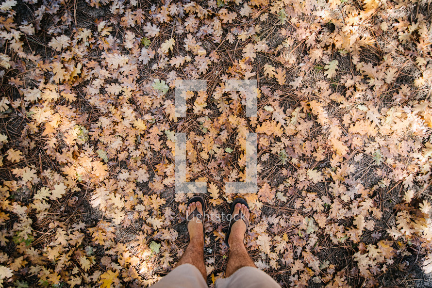 feet in flip flops standing in fall leaves 