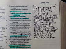 steadfast, notes on the edge of pages of a Bible 
