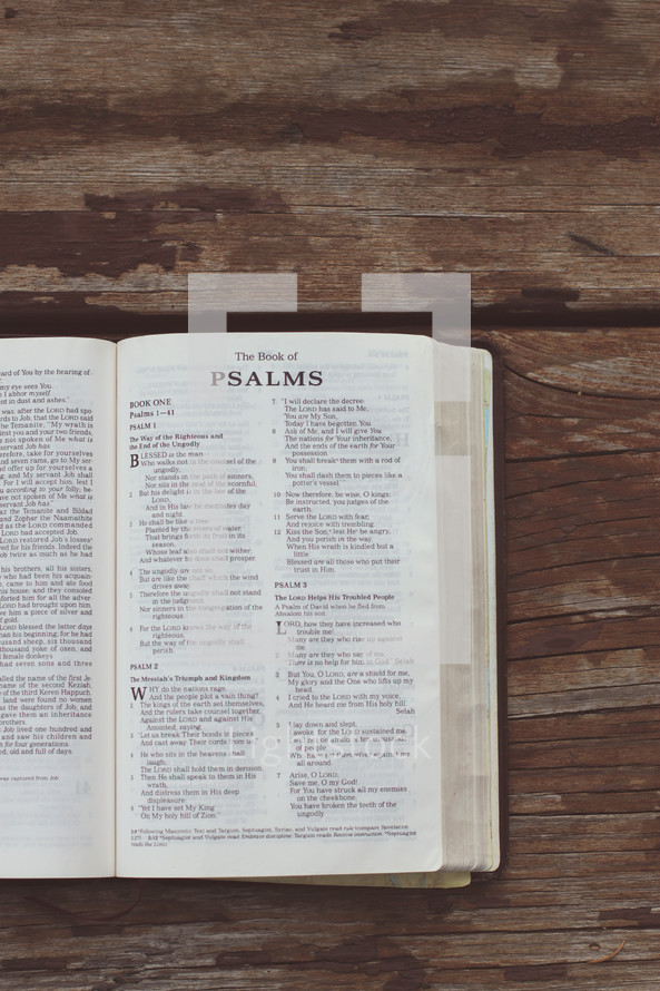 The Book of Psalms 