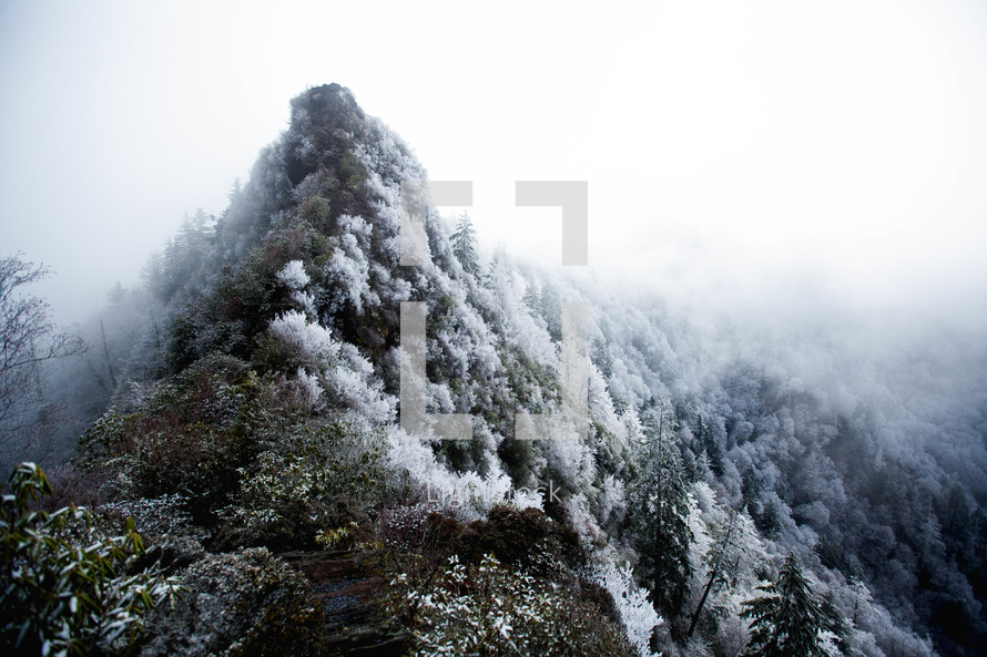 snow and ice on a mountainside forest 