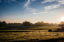 hay bales and tree on farmland at sunrise 