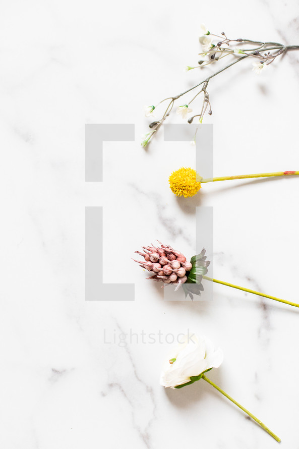 flowers against a marble background 
