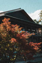 fall foliage and Japanese architecture 