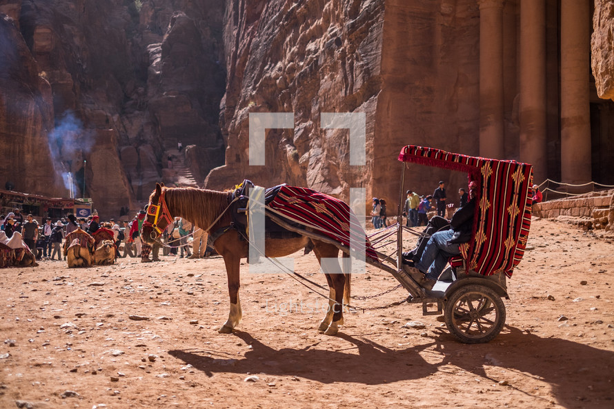horse and carriage in a desert 