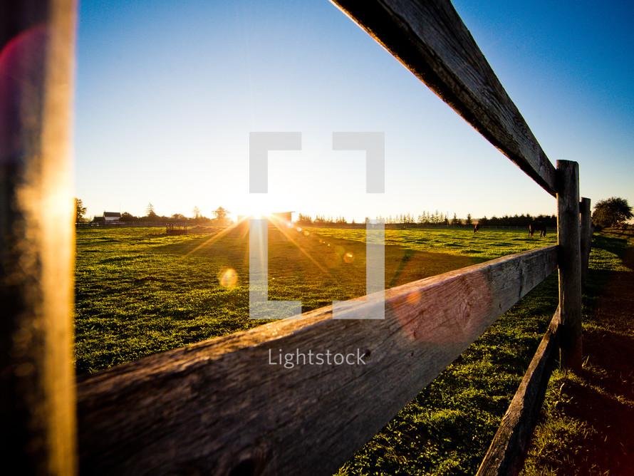 sunlight and a fence 