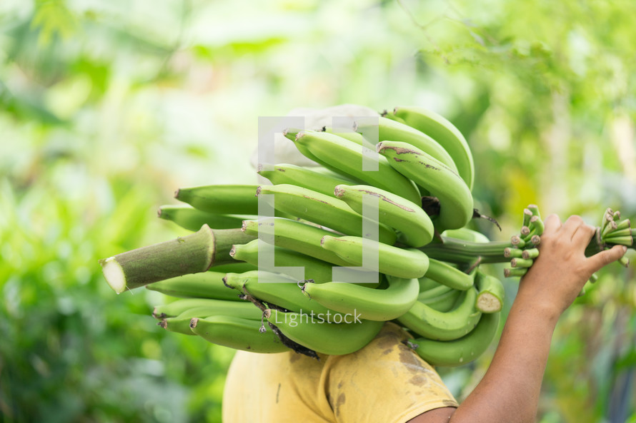 a man carrying bananas 
