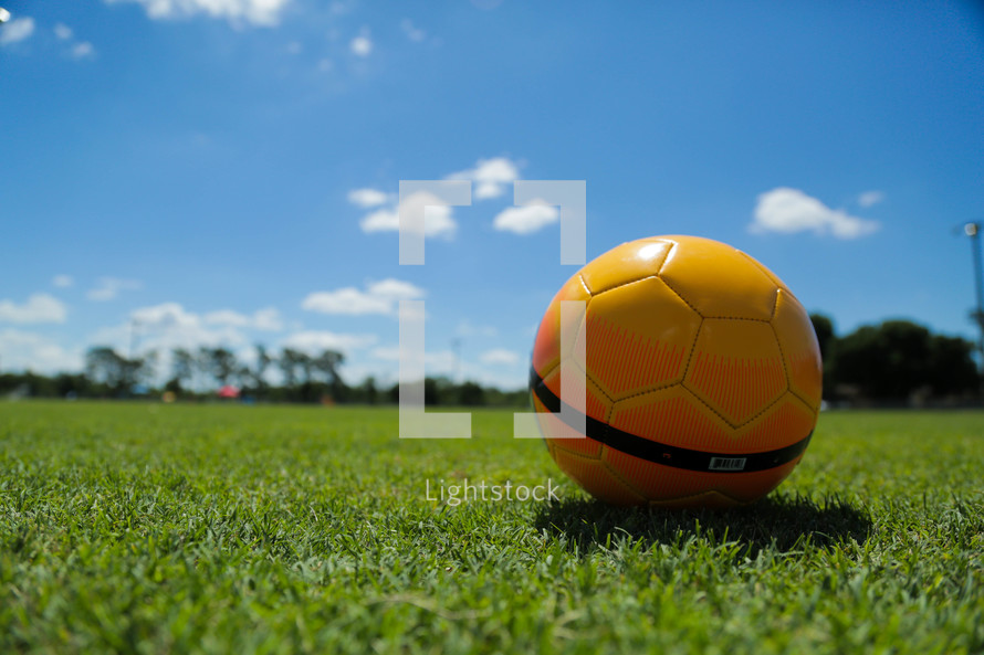 soccer ball in the grass 