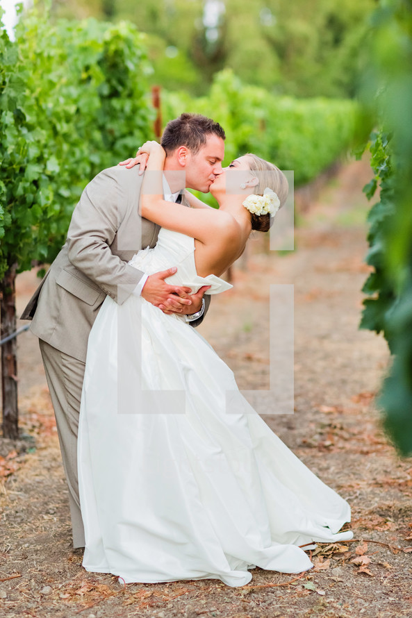 Kissing couple in a napa valley grape vineyard wedding bride groom dip flower in hair