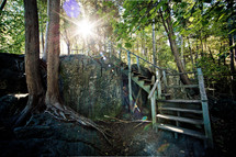 stairs in a forest 