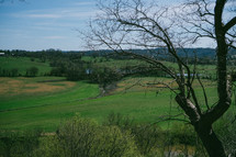 green rural landscape 