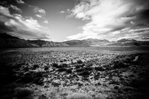 desert mountains in Nevada
