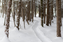 path through the snow 