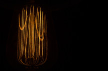 Edison lightbulb