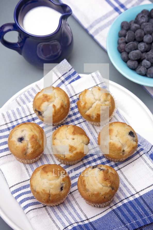  blueberry muffins 
