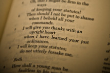 give thanks scripture