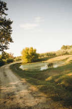 rural dirt road and small pond 