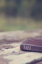 Bible on a picnic table outdoors 