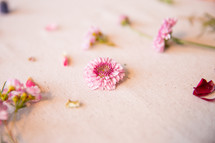 flower pieces on a linen background 