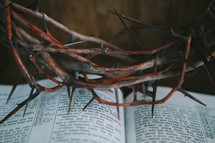 crown of thorns over the pages of a Bible 