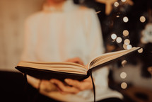 Woman in white reading interesting paper book while sitting near Christmas tree with bokeh at home. Cozy winter pic of lady relaxing alone with novel.
