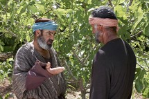 Jesus Curses a Fig Tree Mark and The Parable of the fig tree