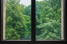 view of summer trees out a window 