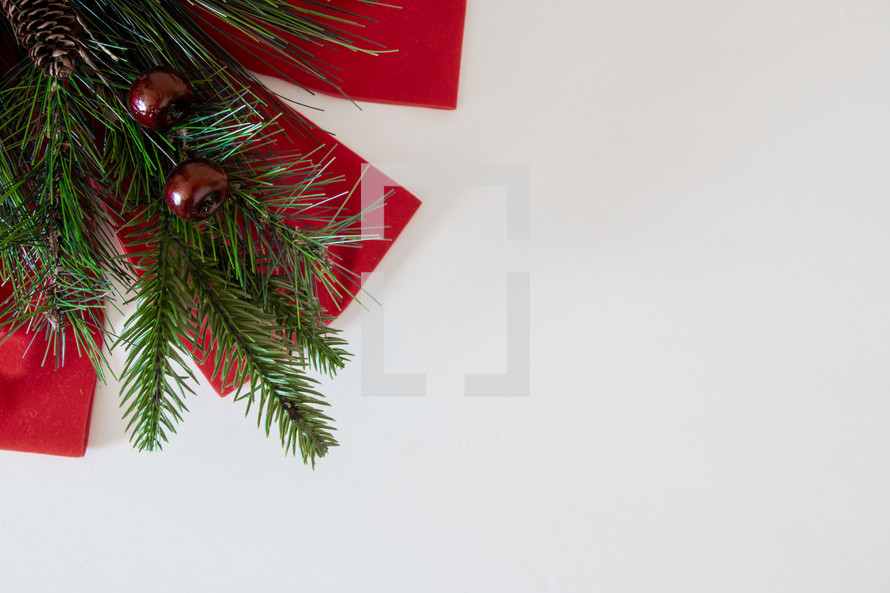 Christmas greenery with a red ribbon on a white background