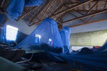 cots under fly nets