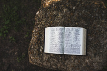 open Bible on a rock 