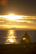 woman sitting on a beach at sunset 