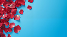 Red rose petals on a blue background. 