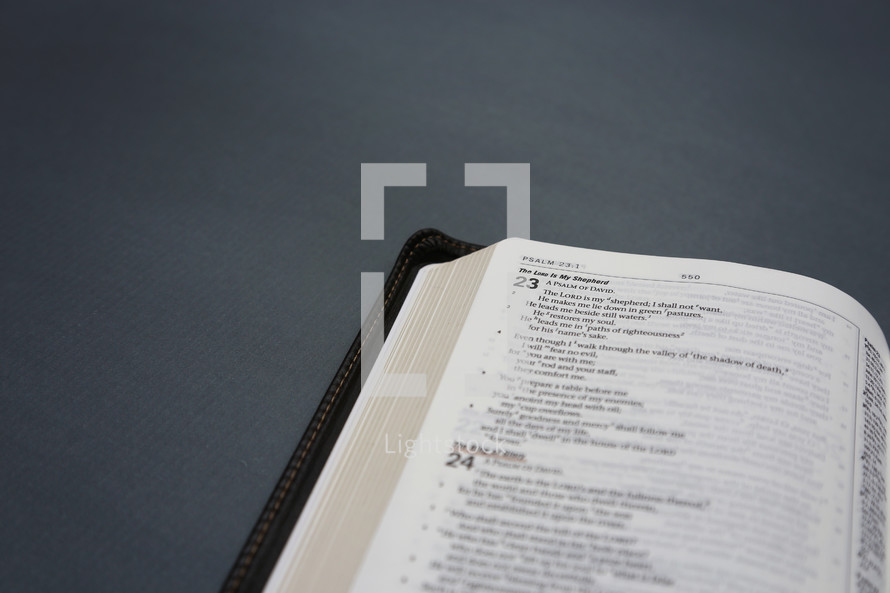 open Bible on a gray background 