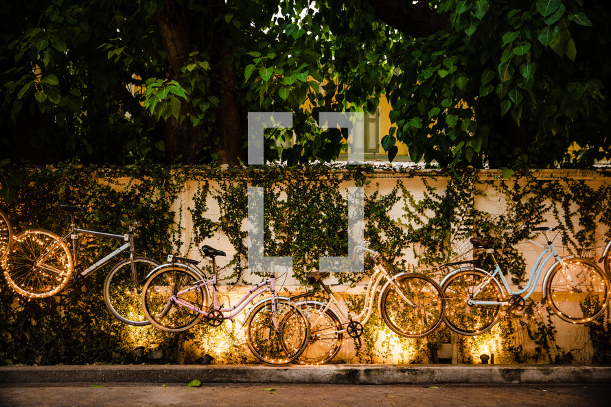 bikes along an ivy covered wall in Southeast Asia 