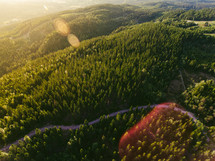 aerial view over a pine forest and roads 