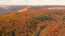 aerial view over an autumn forest 