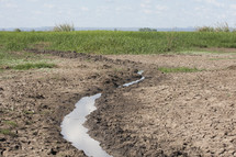 Stream of water running through cracked mud field with grass and cloudy sky in the background.