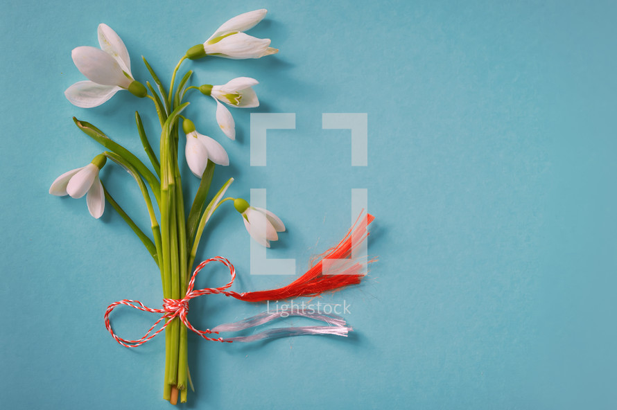 Cute Snowdrops Bouquet With Flower Stems