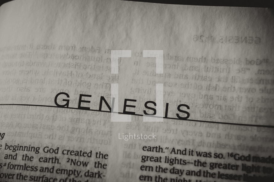 Open Bible in book of Genesis