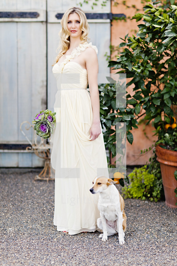 dog sitting next to a bride wedding fashion