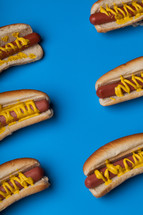 Hot dogs and buns drizzled with mustard on a bright blue background.
